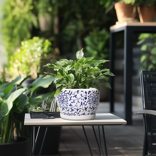 SQOWL Ceramic Pots for Plants - 8 inch Ceramic Planter with Drainage Hole and Saucer, Round Flower Pots for Indoor Plants, Porcelain Planter Outdoor, Porch Decor, Gifts for Women Men, Blue and White - Image 5