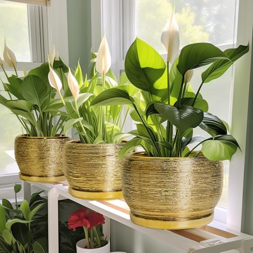 SQOWL Ceramic Planter for Indoor Plants - 10 Inch Plant Pot with Drainage Hole and Saucer, Modern Round Planter Outdoor, Large Decorative Flower Pot, Apartment Decor, Birthday Gifts, Gold - Image 6