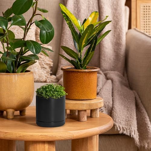 D'vine Dev 3.5 Inch Ceramic Planter Pot, Black, 94-O-A-2 - Image 4