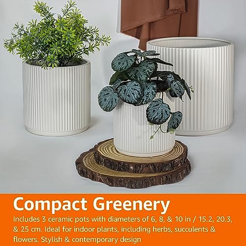 Amazon Basics Fluted Ceramic Planters for Indoor Outdoor Plants, Round Flower Pots with Drainage Hole, Set of 3, 6 inch, 8 inch, 10 inch, White - Image 7