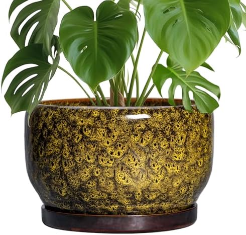 SQOWL 10 Inch Plant Pot - Ceramic Flower Pots with Drainage Hole and Saucer, Ceramic Planter for Indoor Plants Outdoor, Decorative Round Large Planter, House Decor, Gifts for Women Men, Yellow by SQOWL