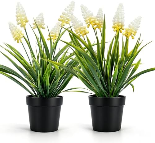 MONOID Artificial Potted Plants, Realistic Fake Greenery for Desk, Home Office Bathroom Shelf Farmhouse Table Decor, Maintenance Free (2, Hyacinth White) by GuardYourHomeEmbraceSafety
