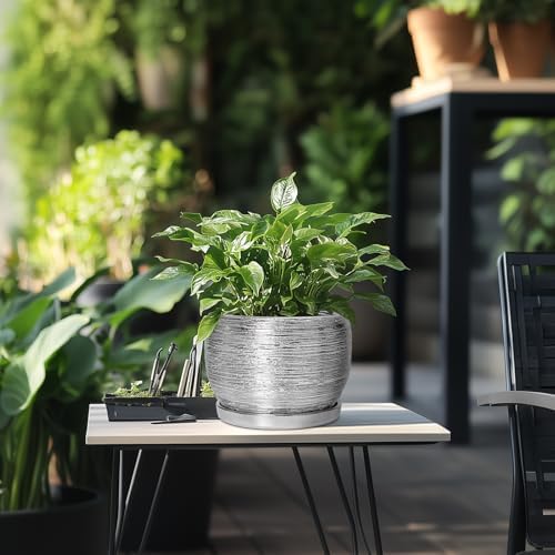 SQOWL Ceramic Pot for Plants - 8 Inch Planter with Drainage Hole and Saucer, Round Planter Indoor Outdoor, Modern Decorative Flower Pot, House Decor, Gifts for Plant Lovers, Silver - Image 5