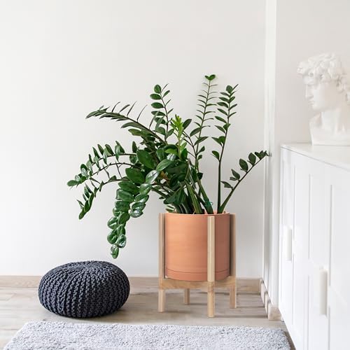 D'vine Dev Terracotta Pot with Natural Wood Stand, 12 in, 55-B-J-5 - Image 2