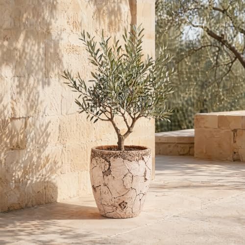 11" H x 10" Dia Fiberstone Planter Pot with Drainage Hole, Handcrafted Distressed Decorative Flower Pot for Indoor Outdoor Plants, Rustic Earthy Brown Boho Planter for Patio, Garden & Home - Image 3