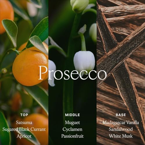 Antica Farmacista Reed Diffuser, Prosecco, 8.45 fl oz - Image 4