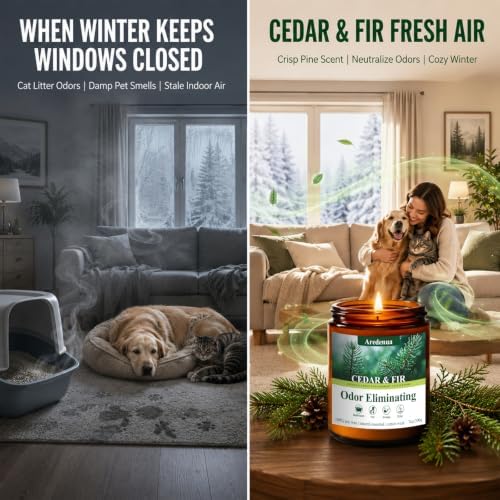 Cedar & Fir Odor Eliminating Candles | Eliminates 95% of Pet, Smoke, Food, and Other Smells – 7 oz Soy Candle for Home Scented - Balsam Cedar Scented Candles for Forest Fresh & Winter Holiday Gifts - Image 6