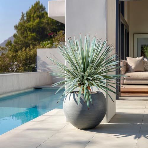 Artificial Agave Plant Fake Agave Planters for Indoor Outdoor Faux Agave Plants Real Touch Realistic Greenery for Home Living Room Office Garden Front Porch Patio (26inch 180Leaves-2 Pcs Yellow) - Image 2