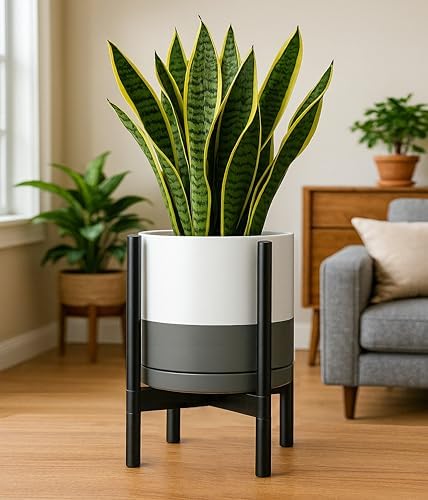 D'vine Dev Ceramic Pot with Ebony Wood Stand, White/Grey, 12 in, 55-B-H-6 - Image 6