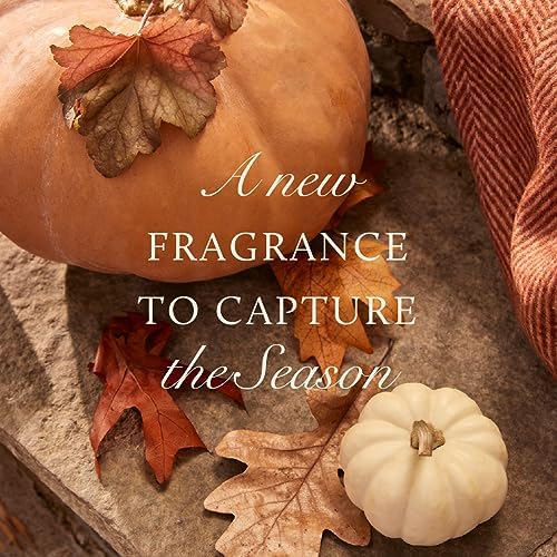 Thymes Petite Oil Reed Diffuser Set – Includes Reed Diffuser Sticks, Fragrance Oil, & Glass Bottle – Luxury Home Decor – Fall Decor – Fall Scents – Burnt Orange (Pumpkin Laurel, 4 fl oz) - Image 5