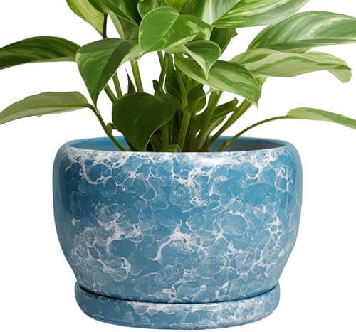 SQOWL Ceramic Pots for Plants - 8 Inch Ceramic Planter for Indoor Outdoor, Decorative Flower Pot with Drainage Hole and Saucer, Round Planter, Home Living Room Bathroom Decor, Plant Lover Gifts, Blue by SQOWL