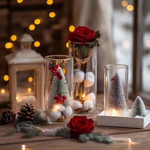 TBWIND 12pcs 8 Inch Clear Glass Cylinder Vases for Centerpieces - Image 5