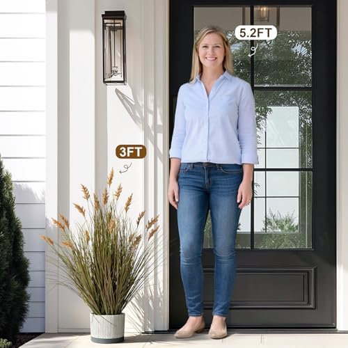 Faux Plastic plantas Synthetic Pampas Grass Indoor Outdoor Realistic Floor Plants pet Friendly Fake Grass for Home Office Wedding para Patio Front Artificial Grass Decor Housewarming Gift - Image 3