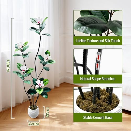 6FT Tall Lifelike Artificial Magnolia Tree with 5 Pcs Magnolia Flowers in White Planter Pot, Rubber Tree Faux Plants Indoor Artificial Plants & Flowers for Home Office Living Room Decor - Image 2