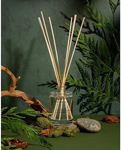 Brooklyn Candle Studio Reed Scent Diffuser - Catskills - Relaxing Oil Diffuser, Cedar, Cypress & Juniper Fragrance, 8 Rattan Diffuser Reeds, Clean Ingredients - 3.7oz - Image 4