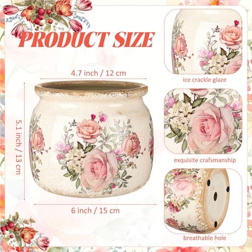 2 Pcs Vintage Planter Ceramic Plants Pot with Drainage Ice Crack Scroll Flower Vase Pot for Indoor Outdoor Plants Home Kitchen Decor Gifts(Farmhouse Rose,5.9") - Image 2
