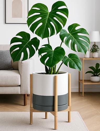 D'vine Dev Ceramic Pot with Natural Wood Stand, White/Grey, 12 in, 55-B-J-6 - Image 2