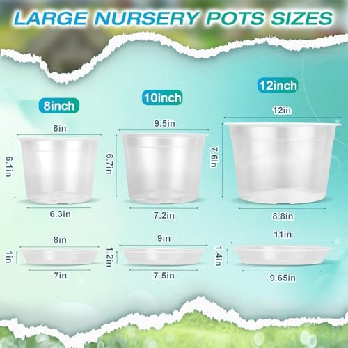8 Inch Clear Nursery Pots with Drainage and Sacuers, 8 Pack Plastic Pots for Plants Indoor Outdoor, Large Clear Pots for Flowers, Succulents (8inx8pcs) - Image 2