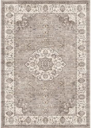 HY HAOYUNLAI Washable 2x3 Entryway Area Rug Non-Slip Carpet Brown by HYHAOYUNLAI
