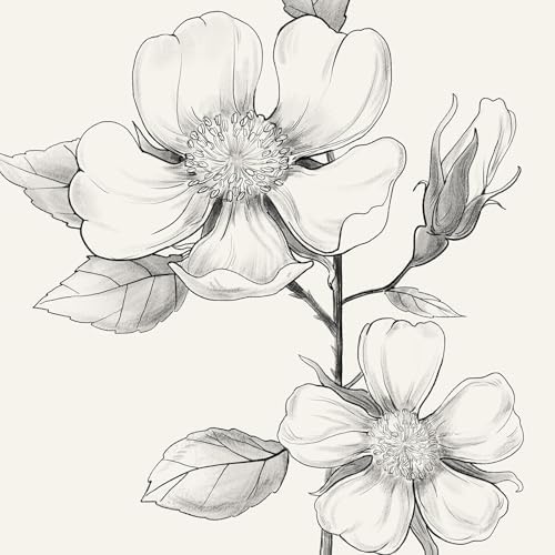 Framed Black and White Floral Wall Art, 4 Piece Vintage Gray Botanical Canvas Prints Painting Artwork, Minimalist Neutral Flower Pictures for Farmhouse Bedroom Living Room Bathroom Home Decor, 11x14 - Image 5