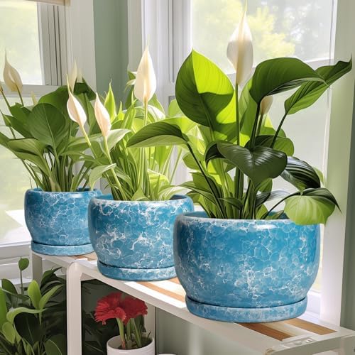 SQOWL 6 Inch Plant Pot - Ceramic Indoor Planter with Drainage Hole and Saucer, Decorative Ceramic Flower Pot Outdoor, Round Succulent Planter, Home Office Room Decor, Gifts for Plant Lovers, Blue - Image 5