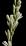 Preston Lane Scented Candle 7.5oz Soy Wax 2-Wick Home - Mayfair - Image 7