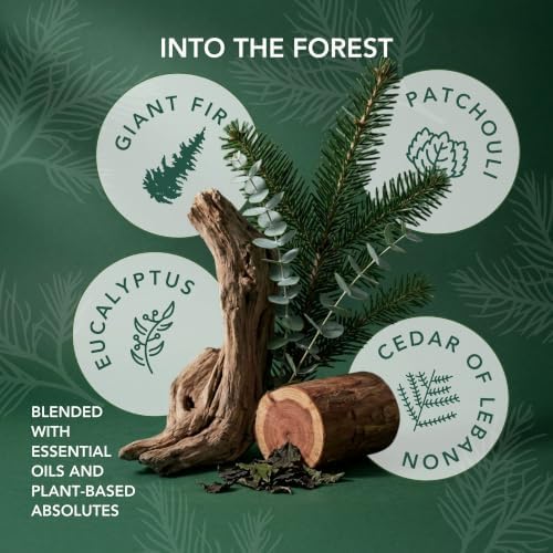 Eucalyptus & Pine Essential Oils Beeswax Candle - Fresh Forest, 90+ Hr - Image 4