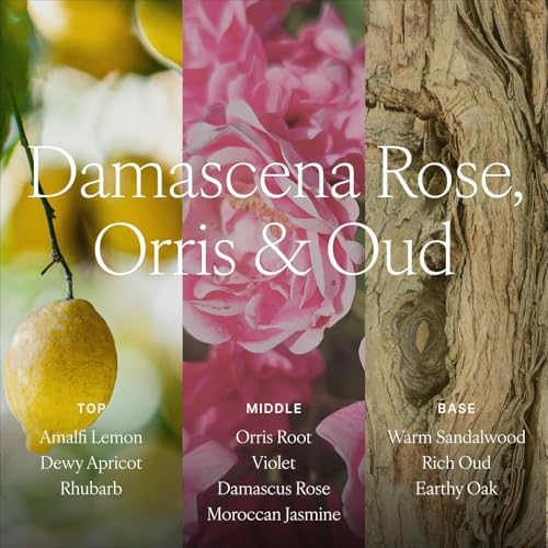 Antica Farmacista Reed Diffuser, Damascena Rose, Orris & Oud, 16.9 fl oz - Image 4