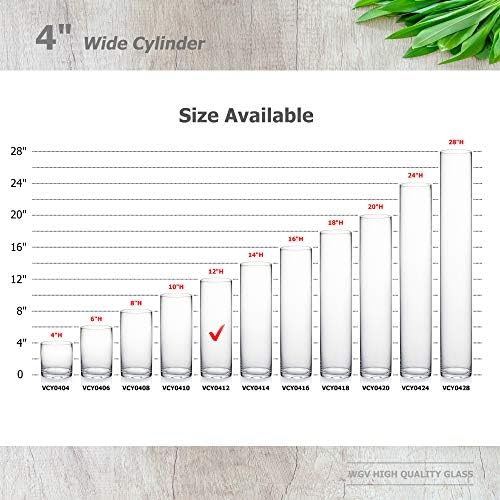 WGVI Quality Thick Weighted Clear Cylinder Glass Vases, 4" W x 12" H, Flower Arrangement Floating Candle Holders Wedding Centerpieces Terrarium Planter Floral Countertop Storage Container, 1 Piece - Image 3