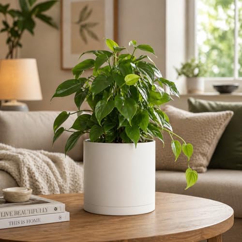 Giraffe Creation Cylinder Plant Pots 12/10/8 Inch Set of 3, Modern Round Planters with Drainage Holes and Saucers, Durable Plastic Flower Pots, White - Image 2