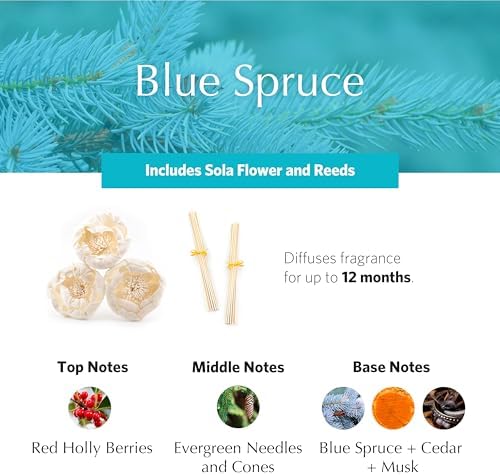 AGRARIA AirEssence Flower and Reed Diffuser Set, Handmade Sola Flower Botanical Home Fragrance Set, Scented Oil Reed Diffuser Gift for All Occasions - Image 3