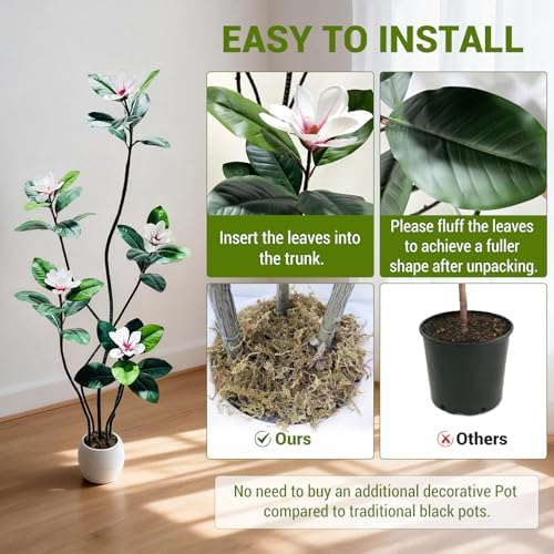 6FT Tall Lifelike Artificial Magnolia Tree with 5 Pcs Magnolia Flowers in White Planter Pot, Rubber Tree Faux Plants Indoor Artificial Plants & Flowers for Home Office Living Room Decor - Image 3