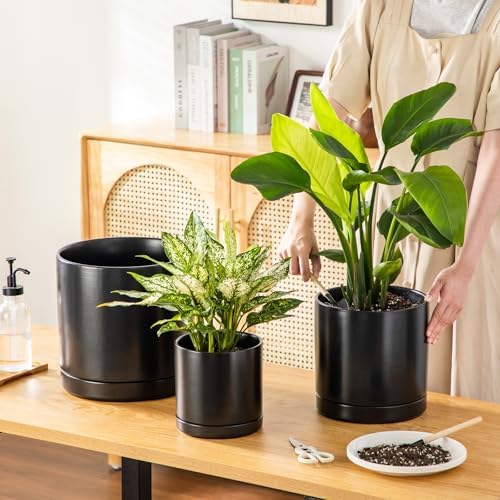 vancasso Ceramic Planters, Plant Pots for Indoor Plants, 6.25+8.25+10.25 Inch Ceramic Pots for Plants, Flower Pots with Drainage Holes (Black, 6.25+8.25+10.25 Inch) - Image 5