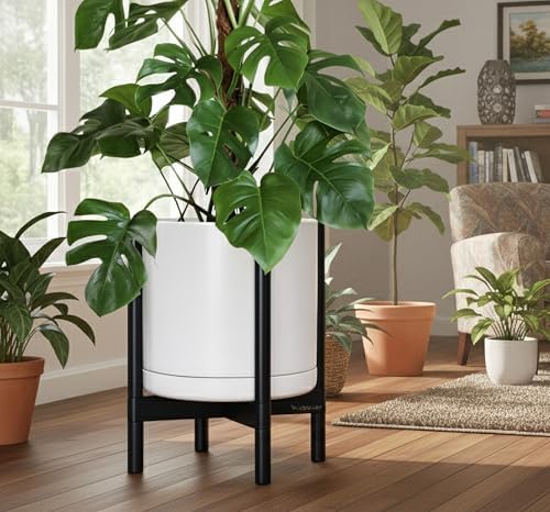 D'vine Dev Ceramic Pot with Ebony Wood Stand, White, 14 in, 55-B-S-1 - Image 6