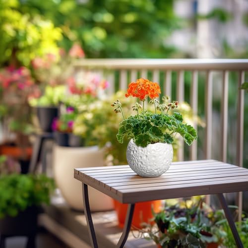 4 Inch Plant Pots - Ceramic Pots for Plants with Drainage Hole, Small Planter for Indoor Outdoor, Unique Succulent Pot, Decorative Modern Round Planter, Desk Decor, Plant Lover Gifts, White - Image 6