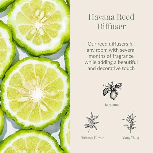 Archipelago Botanicals Havana Reed Diffuser, 7.6 fl oz - Image 2