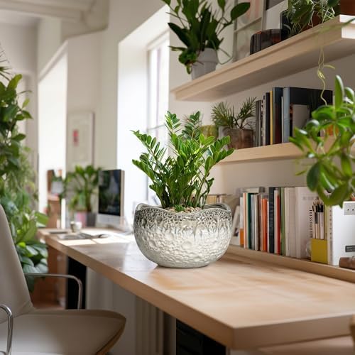 10 Inch Plant Pot, Ceramic Pots for Plants, Beige-Grey - Image 5
