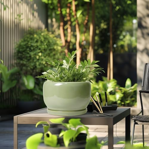 SQOWL Ceramic Planter - 10 Inch Pot for Plants Indoor Outdoor, Round Modern Flower Pot with Drainage Hole and Saucer, Decorative Large Planter, Office Decor, Plant Lovers Gifts, Green - Image 5