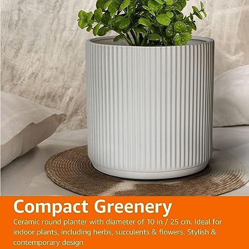Amazon Basics Fluted Ceramic Planter Pot for Indoor Outdoor Plants, Round Flower Pot with Drainage Hole, 10-inch, White - Image 7