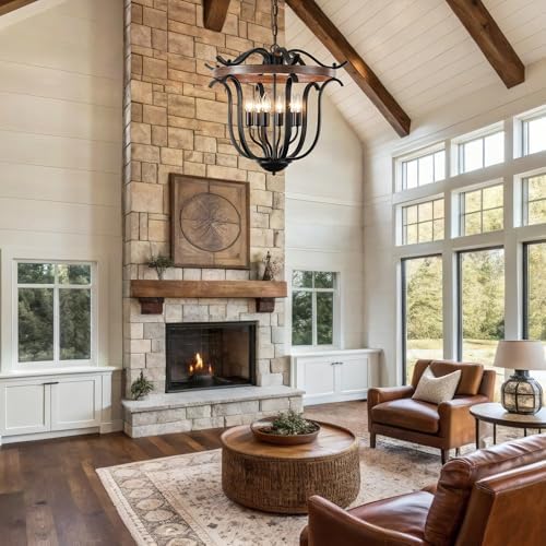 20" Black Farmhouse Chandelier for Dining Room 6 Light Cage Light Fixture - Image 4