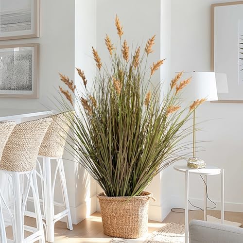 2 Pack Faux Plastic plantas Synthetic Pampas Grass Indoor Outdoor Realistic Floor Plants pet Friendly Fake Grass for Home Office Wedding Patio Front Artificial Grass Decor Housewarming Gift by Unknown