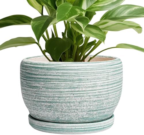 SQOWL Ceramic Planters for Indoor Plants - 8 inch Plant Pot Outdoor, Ceramic Flower Pot with Drainage Hole and Saucer, Round Modern Planter, Living Room Apartment Decor, Birthday Gifts, Green by SQOWL