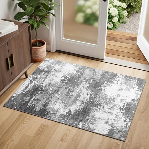 Entryway Rug 2x3 Grey Door Mat Indoor Entrance 24x36, Washable Small Throw Rugs for Kitchen Floor, Entry, Front Door, Bedroom Bedside, Non-Slip Low Pile Stain & Fade Resistant, Abstract Gray by Acapet