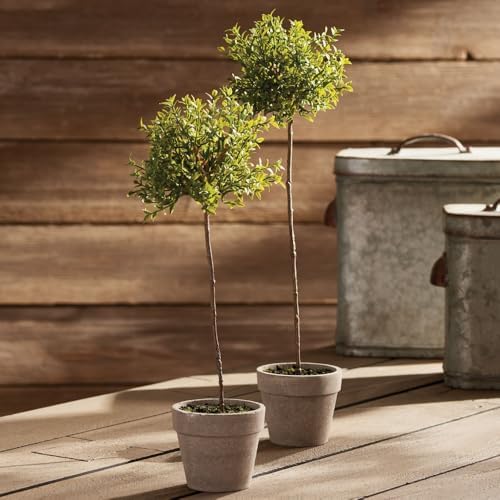 Napa Home & Garden Thyme Topiary, 16-Inch Artificial Plant in Decorative Pot, Faux Greenery for Tabletop, Mantel, Shelf and Indoor Home Decor, 1 Plant - Image 2