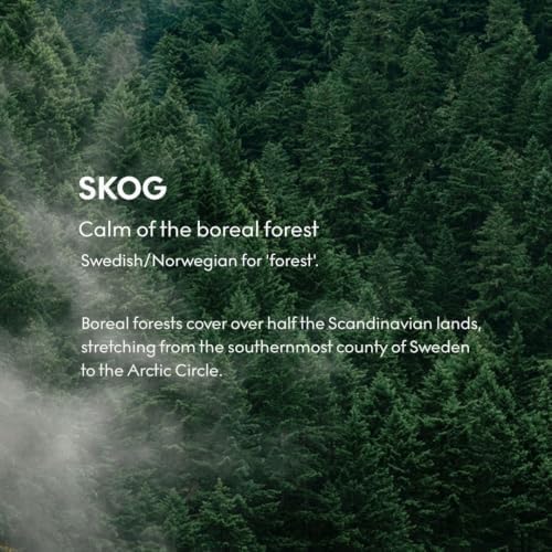 SKANDINAVISK Scented Candle, Skog(Forest), 7.0 Ounce - Image 4