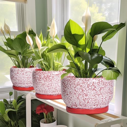 SQOWL 6 Inch Plant Pot - Ceramic Planter for Indoor Outdoor, Round Decorative Plant Pot with Drainage Hole and Saucer, Small Flower Planter, Home Balcony Decor, Gifts for Women Men, Red and White - Image 5