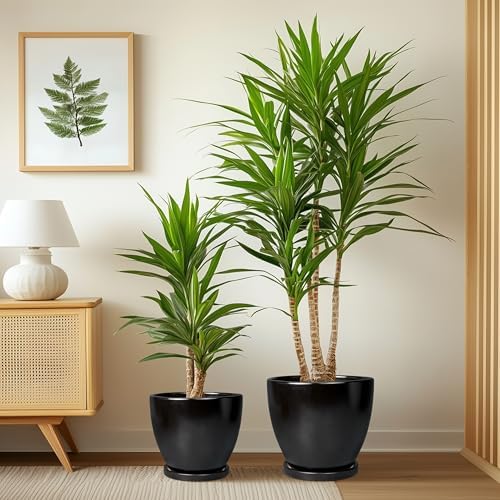 Ceramic Pots for Plants, 10+8+6 Inch Modern Flower Pot, Black - Image 4