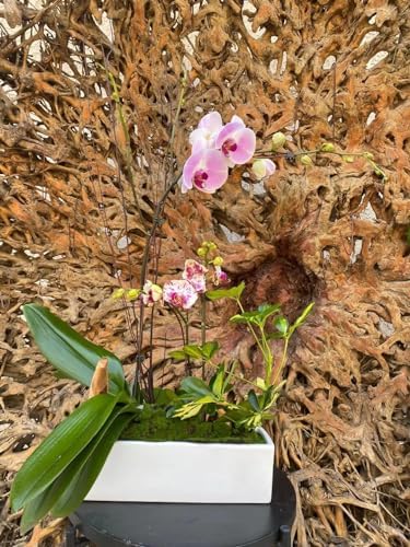 WGVI Long Rectangle Ceramic Planter Vase in White 12" x 4" x 4"H, Block Rectangular Terrarium Box Pot, Flower Arrangement, Table top Centerpiece, Home Decor Organization Storage Container, 1 Pc. - Image 5
