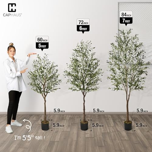 CAPHAUS 6FT Artificial Olive Tree Potted, UV Resistant Indoor Faux Plant - Realistic for Living Room, Office Decor, Housewarming Gift (72 Inch) - Image 3