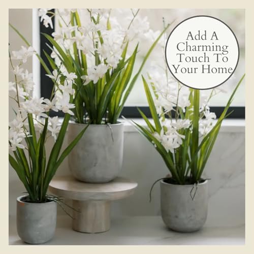 CG Hunter, Faux Vanda Orchid Plant, 26 in, White, Home Decor - Image 6